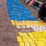 Detuvieron a la madre de uno de los acusados por el cargamento de cocaína en Feliciano