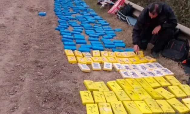 Detuvieron a la madre de uno de los acusados por el cargamento de cocaína en Feliciano