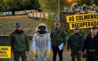Recuperaron en Sauce 40 colmenas sustraídas a un apicultor entrerriano