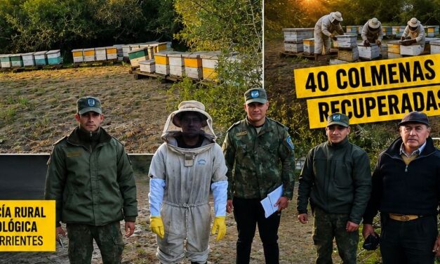 Recuperaron en Sauce 40 colmenas sustraídas a un apicultor entrerriano