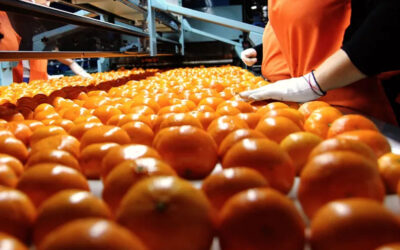 Citricultores hablaron de los altos costos para producir y la baja rentabilidad