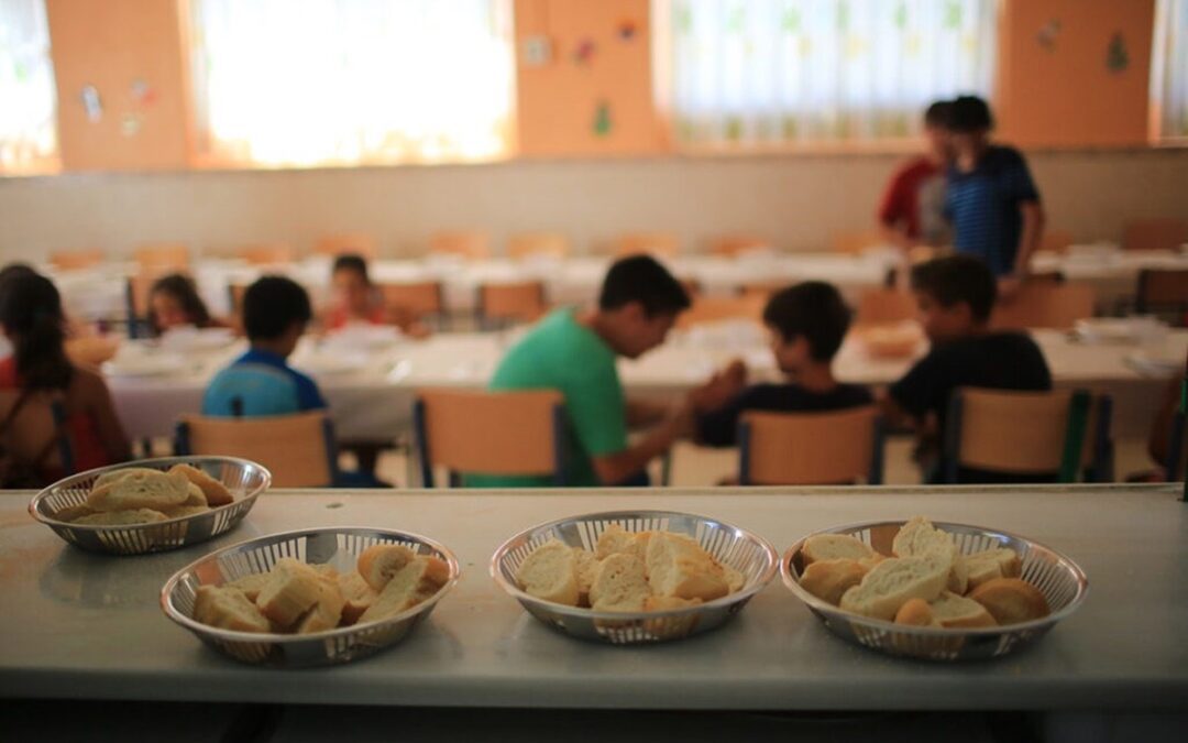 ENTRE RÍOS: NUTRICIONISTAS CUESTIONAN EL NUEVO SISTEMA DE COMEDORES ESCOLARES