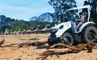REALIZAN TAREAS DE LIMPIEZA Y RETIRO DE TRONCOS EN LAS PLAYAS DE SANTA ANA